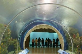 Tunel acuario